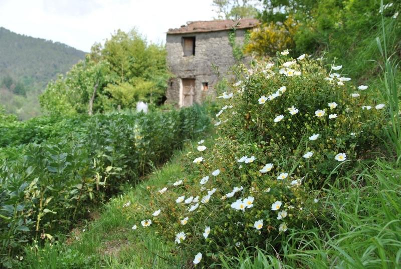 Il Ghiro B&B Riccò del Golfo di Spezia Eksteriør billede