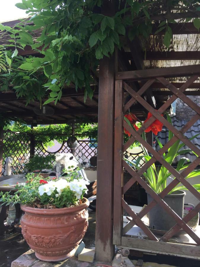 Il Ghiro B&B Riccò del Golfo di Spezia Eksteriør billede